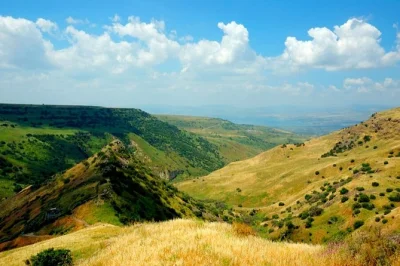 Experience the golan heights on a full-day trip from jerusalem. visit katzrin, mount bental, and the sea of galilee with a local guide. includes hotel pickup.