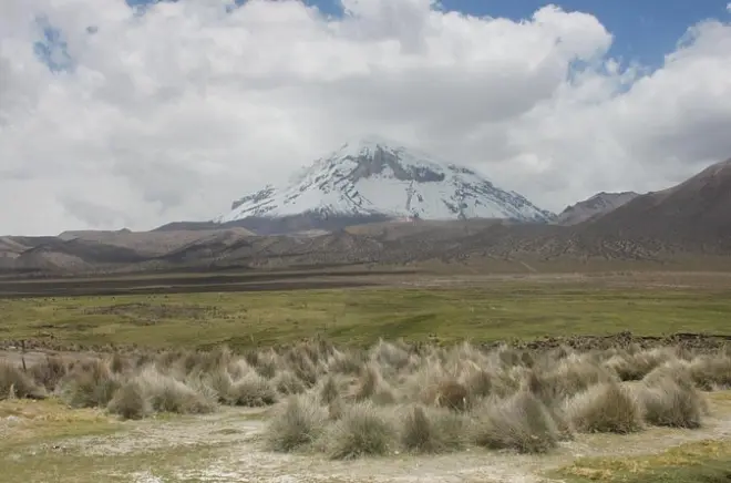 3-day Sajama National Park tour: Geysers, lagoons and stone city