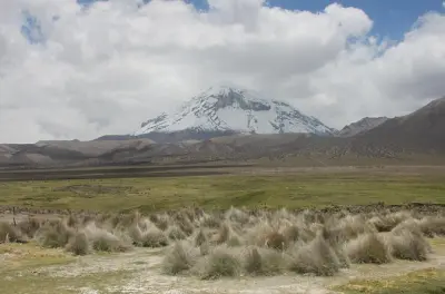 3-day Sajama National Park tour: Geysers, lagoons and stone city