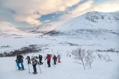 Erlebe die arktische winterwelt auf kvaløya bei tromsø mit schneeschuhen, begleitet von einheimischen, inklusive heißem tee und süßer lefse am gipfel.