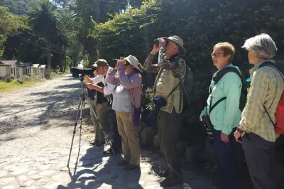 Observação de aves em San Juan La Laguna: Tour privado de 5 horas
