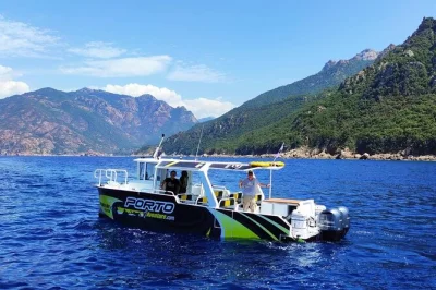 Feel the sea spray on a 12-seater speedboat from porto to calanches de piana & scandola reserve, with a swimming stop and local guide. includes certified captain.