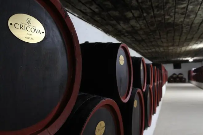 Cricova Winery & Bender Fortress: 2 Excursions in One Day
