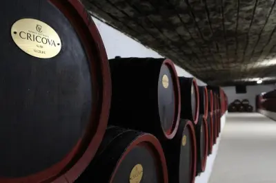 Cricova Winery & Bender Fortress: 2 Excursions in One Day