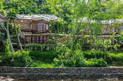 4 giorni da Quito: Fiume Arajuno e lodge nella foresta amazzonica