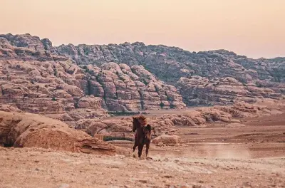 Pferdereiten rund um Petra: Arabische Pferde & Beduinen-Tee
