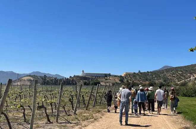 Viña del Mar and Valparaíso tour: Winery, city walk, flower clock
