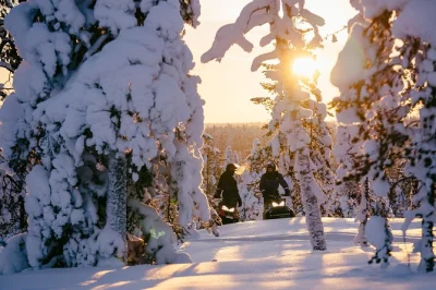 Ride a snowmobile through lapland’s snowy forests near santa claus village, guided by locals. includes winter gear, safety briefing, and shared ride.