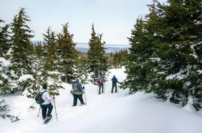 Raquettes avancées à Anchorage : Terrain alpin de Glen Alps