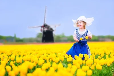 Visit delft’s canals and keukenhof’s tulip fields on a spring day trip from brussels with a local guide, coach transport, and entry included.