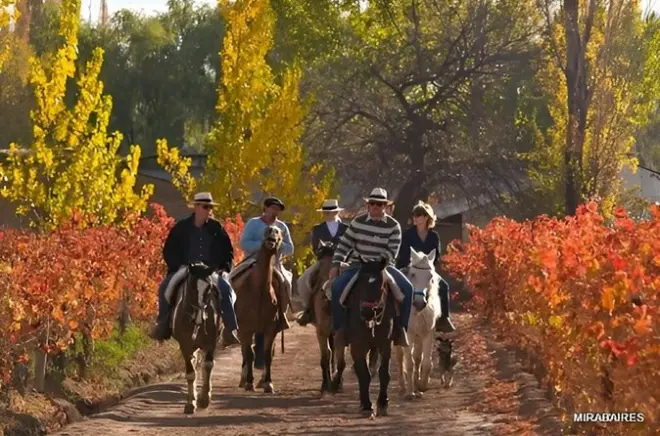 Balade à cheval dans les vignobles de Mendoza à Finca Bandini