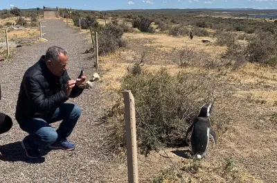 Tour privé des manchots à Punta Tombo en Patagonie avec guide