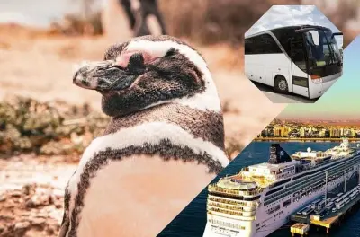 Tour a Punta Tombo desde Puerto Madryn: 7 horas