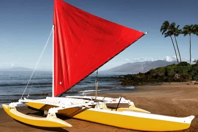 Explore a costa de wailea em maui de canoa havaiana, nade com tartarugas marinhas e descubra tradições locais com um guia nativo. equipamento e água inclusos.