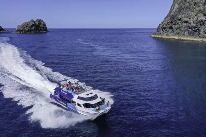 Bay of Islands full-day cruise: Hole in the Rock and island stop