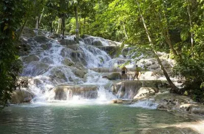 Bob Marleys Nine Mile und Dunn's River Falls ab Negril