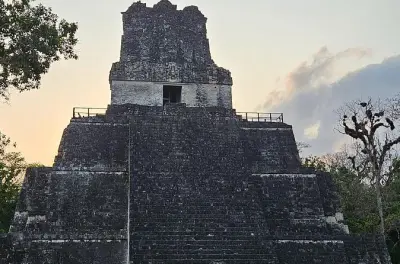 Tikal da Flores: Tour di un giorno alle rovine Maya con pranzo