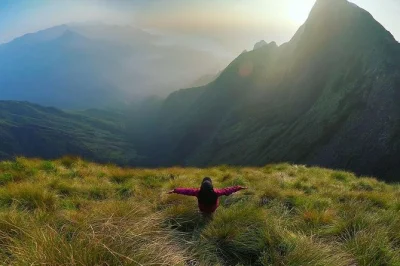 Entdecke die teeplantagen von kerala, den periyar nationalpark, die backwaters von alleppey und den strand von kovalam auf einer privaten 8-tägigen tour mit hausboot, mahlzeiten und lokalem guide.