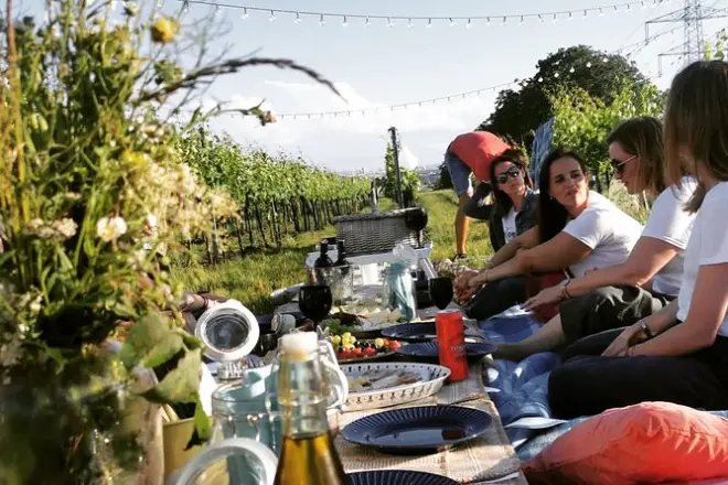 Wine Picnic Overlooking Vienna: Italian APE & Vineyard Blanket