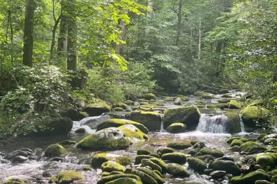 Feel the smoky mountains up close on a guided roaring fork jeep tour—see old log cabins, walk to a waterfall, and hear stories from your local guide. includes all fees.