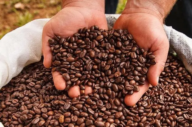 Coffee Tour, Grecia & Sarchi: Private Day from San Jose