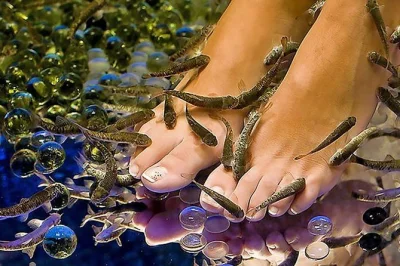 Experimente uma pedicure com peixinhos no centro de atenas. relaxe enquanto os peixes pequenos esfoliam seus pés em um spa tranquilo. inclui toalhas, chinelos e atendimento local.