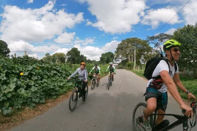 Cycle colombia’s quiet coffee region, visit a working farm, and sample fresh fruit and local coffee. includes bikes, snacks, and a welcoming local guide.