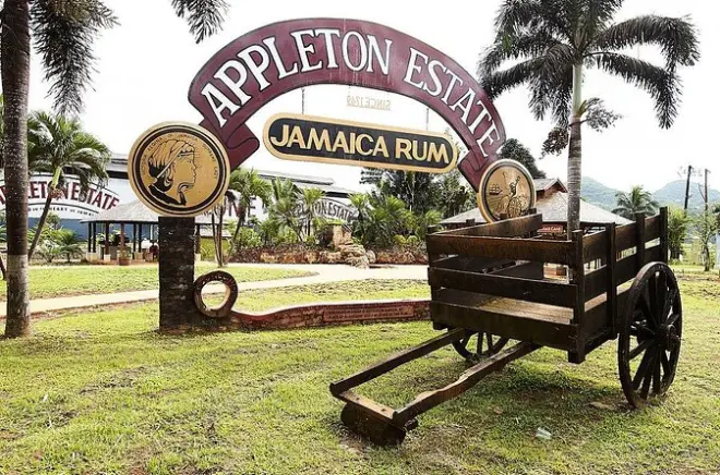 Dégustation de 10 rhums à Appleton Estate depuis Runaway Bay