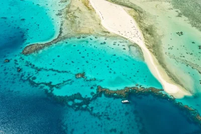 Nagez avec les dauphins sauvages de la lagune de marsa alam, explorez les récifs colorés en snorkeling et profitez d’un déjeuner frais sur une île de sable blanc.