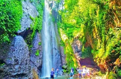 Bogor City Tour from Jakarta: Botanical Gardens & Salak Mountain
