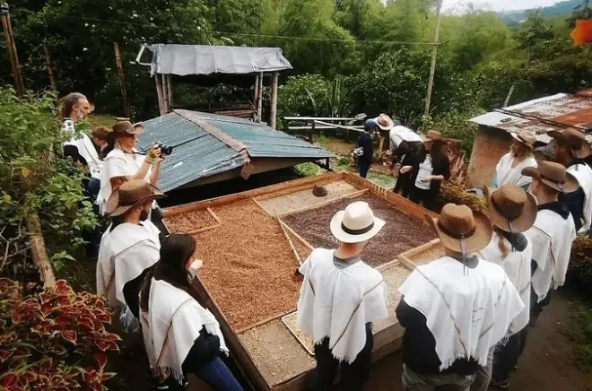 Tour privado por finca de café en Pereira: Elige tu finca