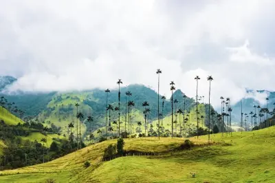 Salento, Cocora Valley & Santa Rita Waterfall from Pereira