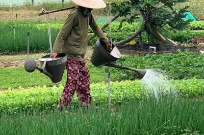 Descubra a vila ecológica tra que em hoi an com aula prática de culinária, passeio de barco cesto e encontro com búfalos. transporte privado e almoço inclusos.