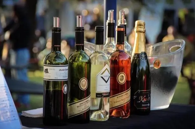 Winery Carrau tasting in Montevideo: Guided tour with pickup