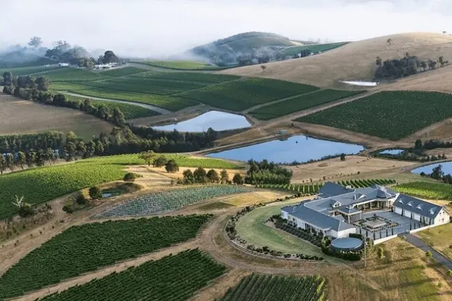 Pranzo e degustazione vini a Levantine Hill con elicottero privato