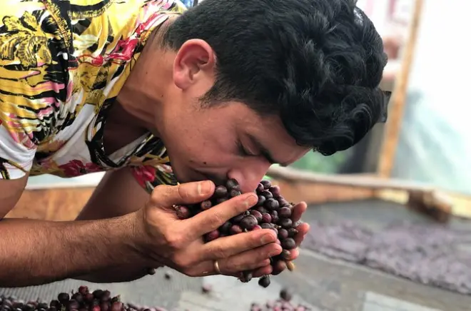 Finca Jaguar a Bogotá: Raccogli e assaggia il caffè colombiano