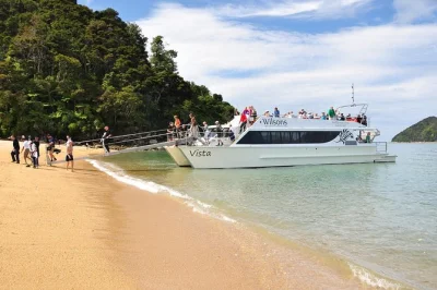 Erlebe die wilde küste des abel tasman per boot, entdecke seebären und wähle zwischen strandpause oder geführter wanderung. inklusive nationalparkgebühren und live-kommentar.
