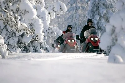 Ride a snowmobile through lapland’s forests near rovaniemi, guided by a local expert. includes winter gear, hotel pickup, and hot blueberry juice to warm up.