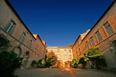 Découvrez un château en activité dans le languedoc avec une dégustation de vins bio et une visite guidée des caves historiques. goûtez 5 vins, écoutez les histoires de famille et profitez des s