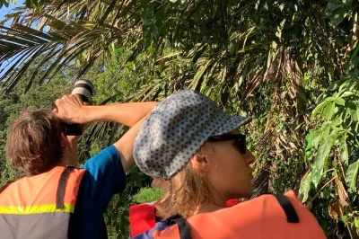 Glide through tortuguero’s quiet canals by canoe or kayak, spotting monkeys, sloths, and caimans with a local guide. choose your language. wheelchair accessible.