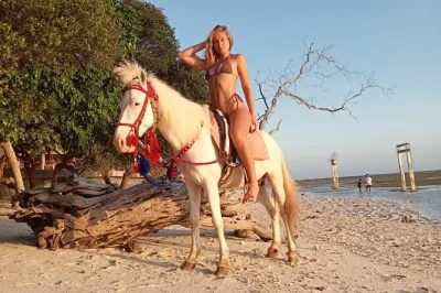 Ride horses along gili trawangan’s beach at sunset, guided by locals. small group, hotel pickup, and safety briefing included. capture photos as you ride.