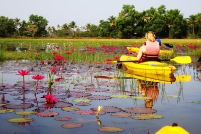 Glide through goa’s sal backwaters by kayak, guided by locals. spot birds, otters, and mangroves up close. includes all equipment, bottled water, and fruit juice.