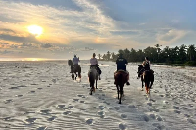 Faça uma cavalgada pelo rio, lagoa e praia de oaxaca ao entardecer. conheça famílias locais, prove frutos do mar fresquinhos e aproveite um passeio guiado com transporte incluso.