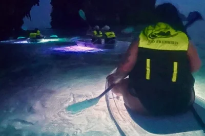 Vivez une balade nocturne en paddle à krabi avec guide local, planches éclairées led et baignade parmi le plancton lumineux. matériel et instructions inclus.