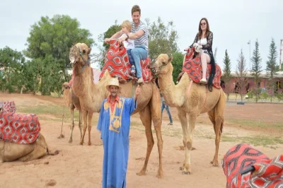 Experience a camel ride near agadir with pickup from your cruise ship, traditional nomad costumes for photos, and moroccan mint tea with cakes at the ranch.