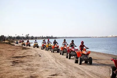 Ride a quad bike through djerba’s olive groves, visit the blue lagoon, and cruise along the coast with a local guide. includes private transport, helmet, and swim break.