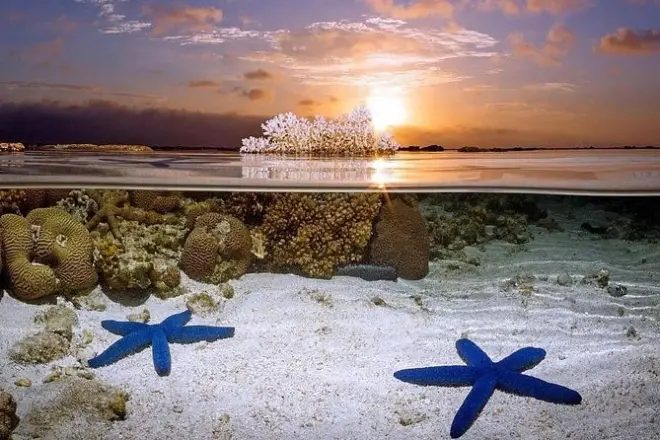 Snorkeling in Bunaken Marine Park from Manado: 3 points