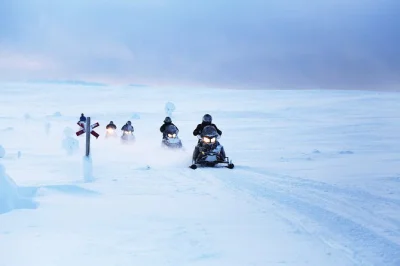 Ride a snowmobile through levi’s snowy forests with a local guide. includes pickup, gear, and safety instructions. family-friendly adventure in lapland.