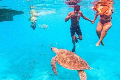 Swim with sea turtles near são pedro, são vicente, with a local guide. includes hotel pickup, snorkeling gear, boat ride, and safe return to mindelo.