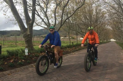 Pedale pelos vinhedos de stellenbosch em uma e-bike, visite vinícolas renomadas e prove vinhos locais. guia em inglês e aluguel de e-bike incluídos.
